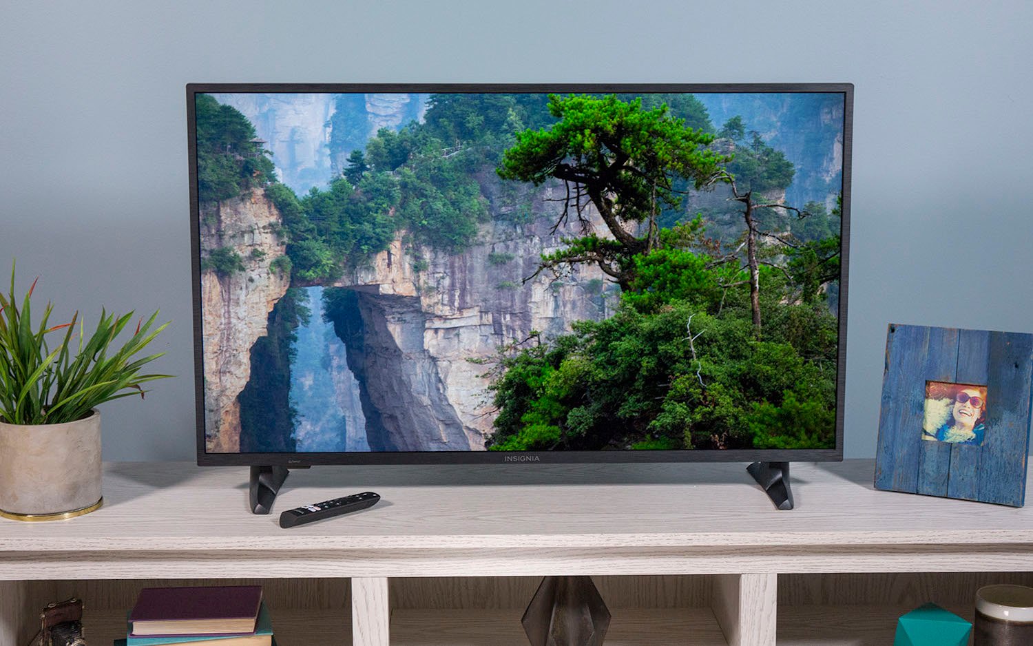 Insignia NS-50F301NA24 Review